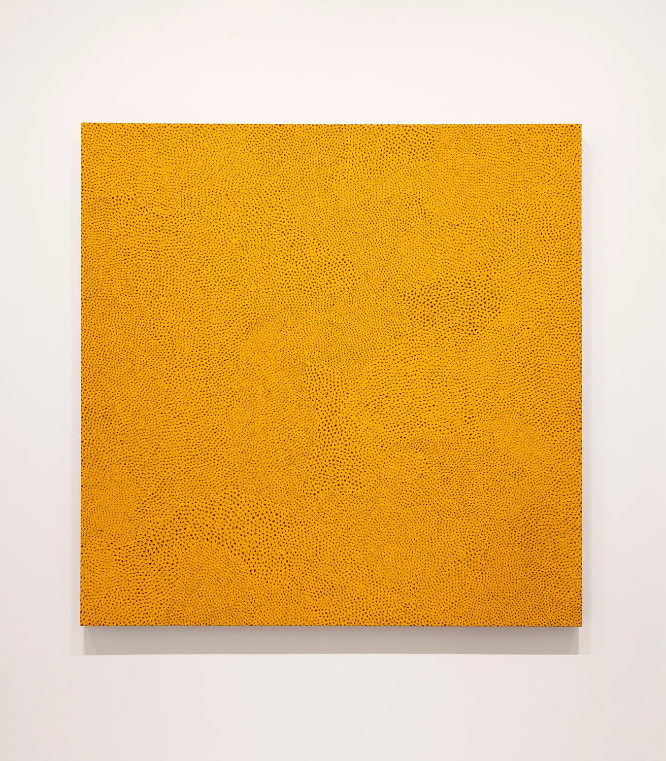 《無限の網 （DHPP）》（2010）　194cm四方の大画面を埋め尽くす網目は圧巻。
